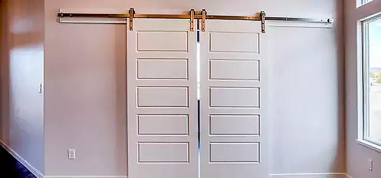 Glass Barn Door with Installation Hardware Kit Fairland