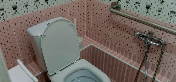 Meeting Diverse Needs With Accessible Restroom Solutions in Fairland, MD