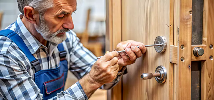 Mortise Replacement Lock Fairland